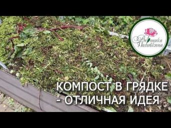 Вероника Поливкина - КОМПОСТ В ГРЯДКЕ