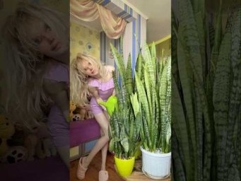 Garden orchides - 