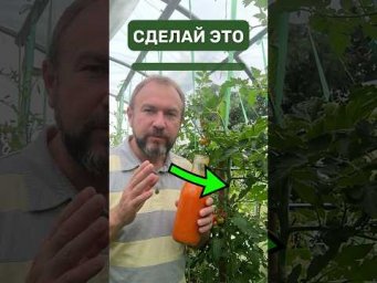Иван Русских Иванова наука - 