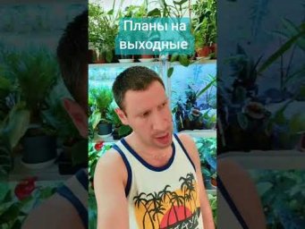 FloraMan - 23 августа 2026 г.