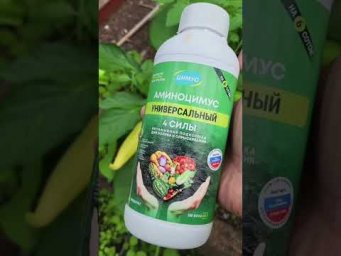 Сад для души - Что нужно овощам в июле, чтобы получить новые завязи и вкусные плоды. Арт на вб 24238
