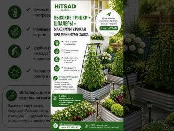 ХитСад ТВ - Секрет огромного урожая на 2 метрах! 