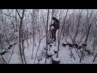 Флорини питомник - Зимняя отгрузка ЛИПЫ для посадки