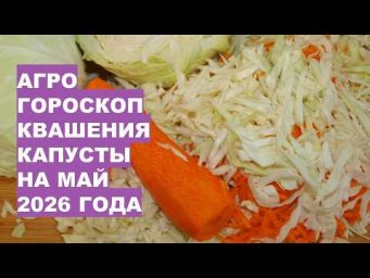 Дача, сад, огород, цветы - Май 2026: Самые Лучшие Дни для Квашения Капусты?!