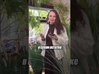 Дачный агроном - Яичная скорлупа В ГРЯДКИ честное мнение агронома #дачныйагроном #рекомендуем