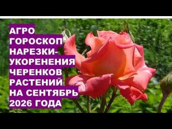 Дача, сад, огород, цветы - Сентябрь 2026: Самые Лучшие Дни для Нарезки и Укоренения Черенков Растени