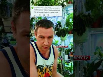 FloraMan - 23 августа 2026 г.