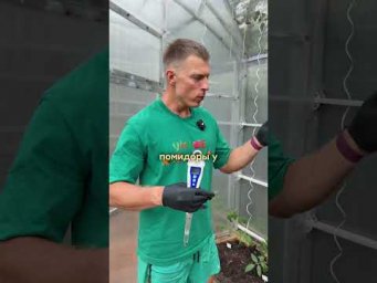 Умное хозяйство - Сыплешь золу горстями? Покажу почему это убивает урожай 