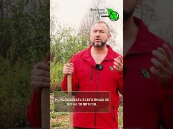 Иван Русских Иванова наука - БЕДНЫЙ ГРУНТ превратится в ЧЕРНОЗЁМ! Секрет агрономов