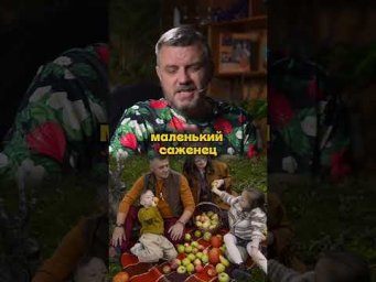 Дачный агроном - 5 деревьев, которые не нужны на участке #дачныйагроном #рекомендуем