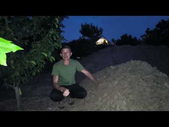 Сад без проблем - Что вы должны знать при посадке растений