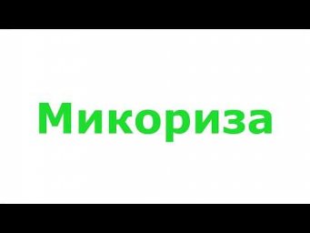 Садовник Макаров - Как вырастить белые грибы у себя на огороде?