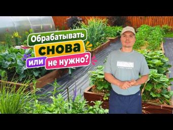 Сад, огород своими руками (Валерий Кузюбердин) - Что делать, если обработали растения по листу и пош