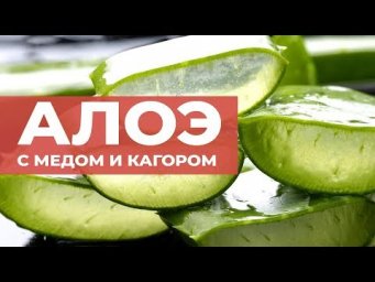 Сад на балконе - Лучшее народное средство от кашля. Алоэ с медом и кагором. Рецепт настойки