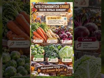 ХитСад ТВ - Что становится слаще после первых холодов?