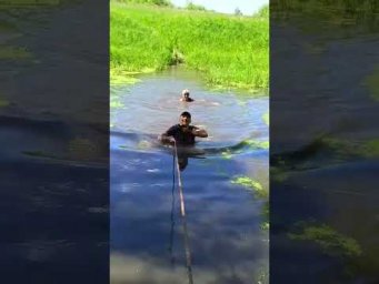 Питомник Школьный сад - https://vk.ru/wall29617297_220 #бег #трейл #тавлатрейл