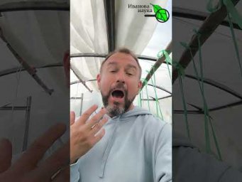 Иван Русских Иванова наука - 
