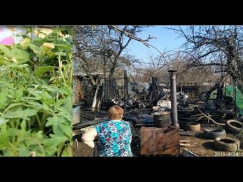 Во саду ли в огороде Юлия Миняева - Что с РАССАДОЙ после ПОЖАРА? РАСПЛАВИЛАСЬ ли ТЕПЛИЦА?
