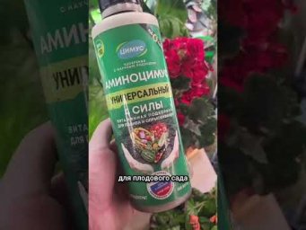 Сад для души - Как подготовить рассаду к переезду? За неделю поливаю Аминоцимусом, арт242381311 обор