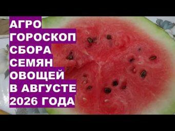 Дача, сад, огород, цветы - Когда собирать семена в августе 2026? Агрогороскоп по зодиакам