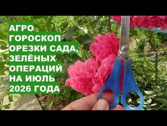 Дача, сад, огород, цветы - Июль 2026: Самые Лучшие Дни Обрезки Садовых Растений и "Зелёных Операций"