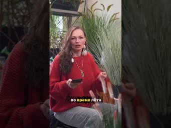Дачный агроном - 2 простых способа победить ЛУКОВУЮ МУХУ #дачныйагроном #рекомендуем