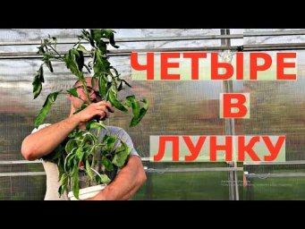 Vogorode - ЭКСПЕРИМЕНТ в теплице, что будет ЕСЛИ.....