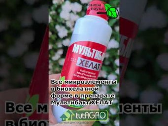 Иван Русских Иванова наука - 