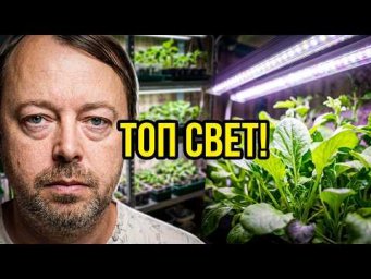 Практичный огород - Крутые бюджетные фитолампы моего производства на диодах последнего поколения.