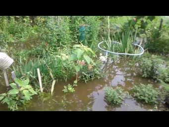 Клуб садоводов Хабаровск - Дачные острова УХОДЯТ ПОД ВОДУ . Большая вода пришла и в Хабаровск .