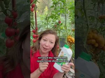 Сад для души - Как подготовить почву на будущий год. Аминоцимус Озон арт1629796164 и ДокторЗемли Озо