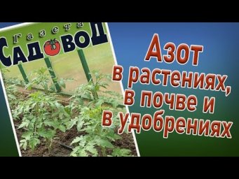 Газета Садовод -  Азот в растениях, в почве и в удобрениях.