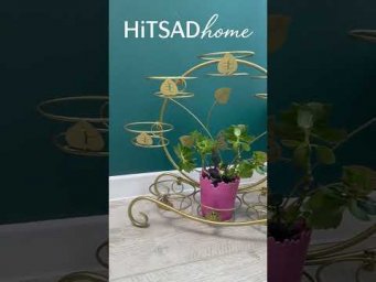 ХитСад ТВ - plantstand2