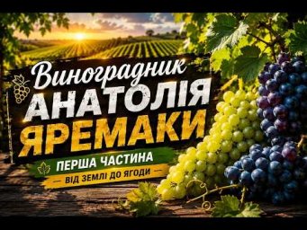 Выращивание винограда - Огляд виноградника.Перша частина Телефон-098 115 04 16-Анатолій