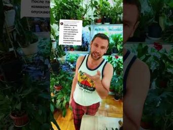 FloraMan - 22 августа 2026 г.