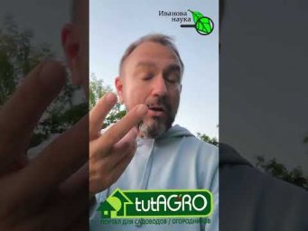 Иван Русских Иванова наука - 