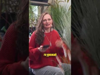 Дачный агроном - Обрезка малины ЕСТЬ НЮАНСЫ #дачныйагроном #рекомендуем