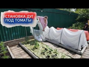 Садовый Мир - Высадка томатов  в открытый грунт под дуги. Какой надежный укрывной выбрать, зачем взя