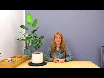 Усадьба Багиры - Формирование бенгальского фикуса (ч.7).