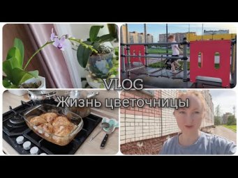Настя Вольф - Жизнь цветочницы 