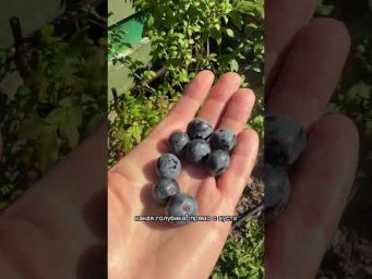 Умное хозяйство - Не уже ли все заново?