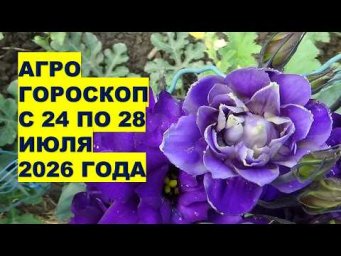 Дача, сад, огород, цветы - Посевы в июле с 24 по 28: не сажайте в эти дни! Астрологический гороскоп