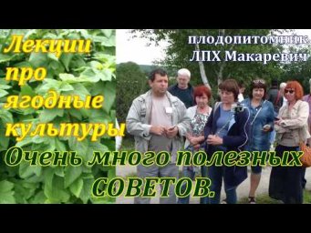 Клуб садоводов Хабаровск - Лучше не расскажешь . Лекция. Советы . Ягодные культуры. Анатолий Шагиахм