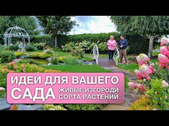 Дача с Виталием Декабрёвым - Сад с прудом и живыми изгородями Веры Глуховой.