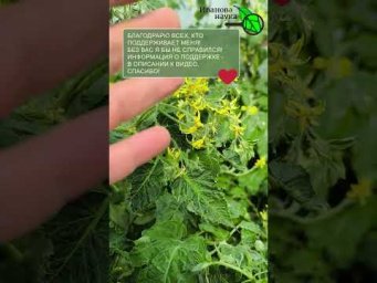 Иван Русских Иванова наука - 