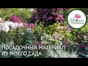 Вероника Поливкина - КАК ПОЛУЧИТЬ РАСТЕНИЯ ИЗ МОЕГО САДА