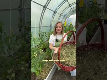 Семена Партнёр - Мульчирование грядок: простой способ сохранить влагу и улучшить почву 
