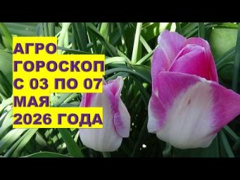Дача, сад, огород, цветы - Агрогороскоп с 3 по 7 мая 2026. Когда сажать и поливать растения?!