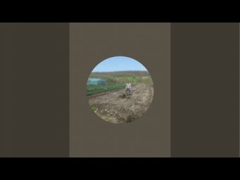 Честная ягода - Поболтаем