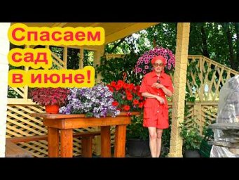 Ольга Воронова - Важные работы июня